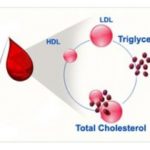 triglycerides-blood-test-e1422052292820