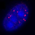 161129114402_1_900x600