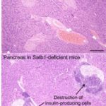 161227083503_1_900x600