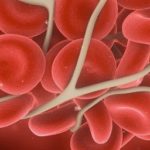 banner-what-is-hemopholia-image-612-0