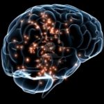 cervello_materia_grigia_gene_salute_nptn_dna_0