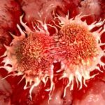 dividing-cancer-cells