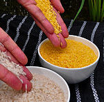 220px-golden_rice