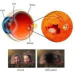 170216133252_1_540x360