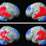 170223202044_1_540x360