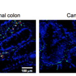 Screen Shot 2017-02-13 at 12.11.23 PM