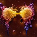 cancro-tumore-chemio-terapia