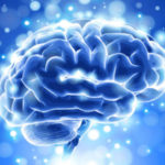 cervello_13_01441_41651_62761