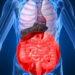 gi-tract
