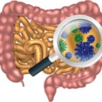 illustration-of-gut-bacteria-in-the-intestine
