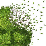 n-ALZHEIMER-large570