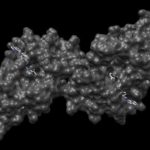 newcompounds