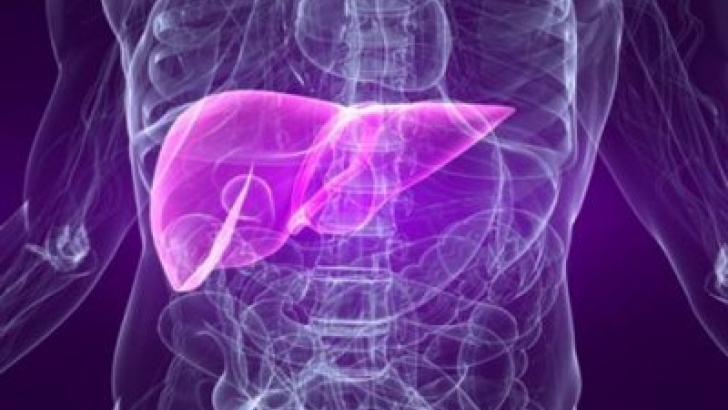 Come il paracetamolo danneggia il fegato insufficienza epatica,paracetamolo