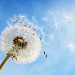 images (4)