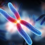 gene_1_70071_21771-510x330