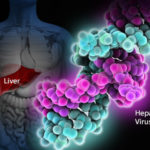 hepatitis-c-s1-hep-c-virus
