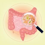 microbioma