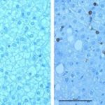 170516124016_1_900x600