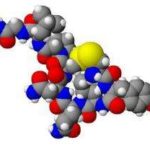 Oxytocin3d