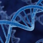 Gene-Switched-On-by-Stress-Speeds-Up-the-Spread-of-Cancer-377951-2