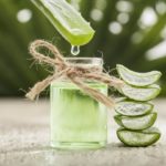 aloe-vera