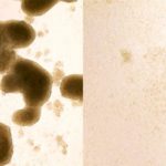 170905093623_1_900x600