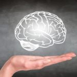 brain-illustration-hovering-over-hand