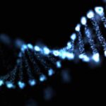 dna-gene