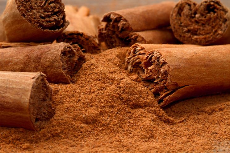 La cannella aiuta a bruciare i grassi cannella