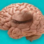 mindseyeblin