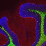 171213115923_1_900x600