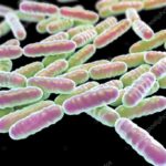 depositphotos_123072372-stock-photo-probiotic-bacteria-lactobacillus