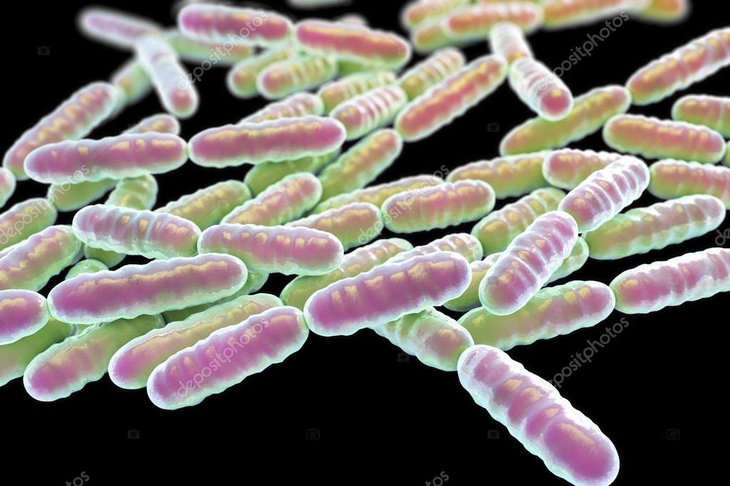 depositphotos_123072372-stock-photo-probiotic-bacteria-lactobacillus