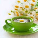 growing-the-chamomile-herb-2 jpg