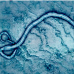 Ebola_336