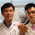 NR Banner - Prof Chen Peng (left) holding the drug-laden microneedle fat burning patch with Asst Prof Xu Chenjie - Copy