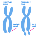 Screen-Shot-2017-06-02-at-11.57.29-AM