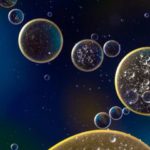 cell