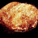 155553259-29a96a78-61a2-4175-aab0-3529f555163d