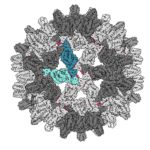 162322_web