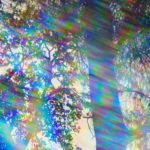 20170524-ConvoHallucination844