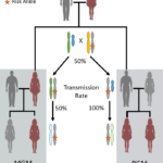 journal.pgen.1007194.g001