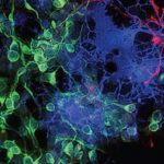 9HMjZ2dzwyToTPNyupsMR3sDa98ZhLuAan3rSSVd