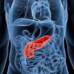 Nova-possibilidade-para-regeneração-do-pâncreas