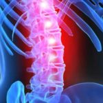 midollo-spinale-640x296