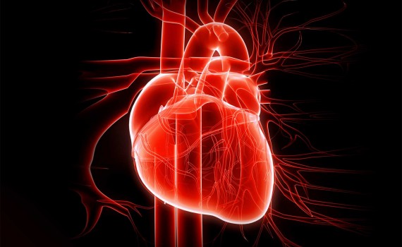 L’analisi del sangue può predire il rischio futuro di eventi cardiovascolari malattie cardiovascolari