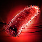 virus-della-rabbia-40746678