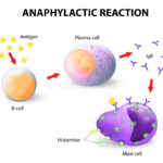 allergia-ed-anafilassi-39408281