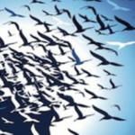 blog_pcl_personal_consulting_sa_21-1160x665