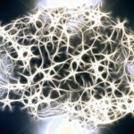 brain-acidity-psychiatry-neurosciencenews-public